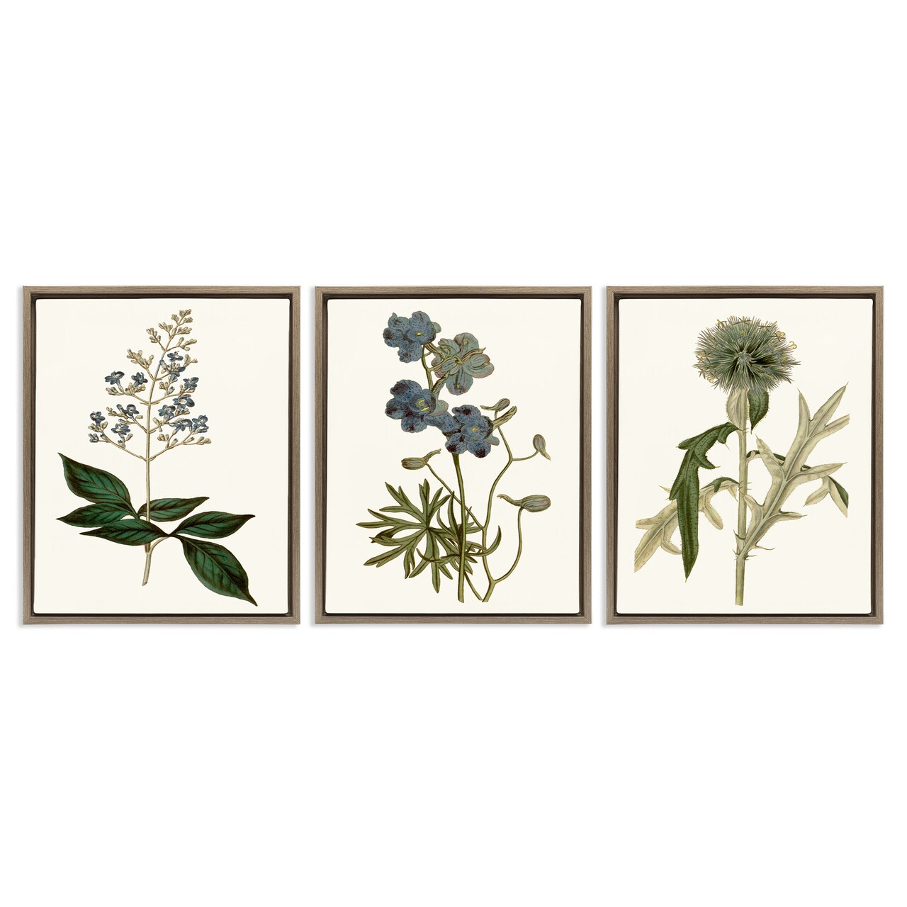 Stupell Industries Vintage Botanical Flowers on Beige Framed Floater Canvas Wall Art